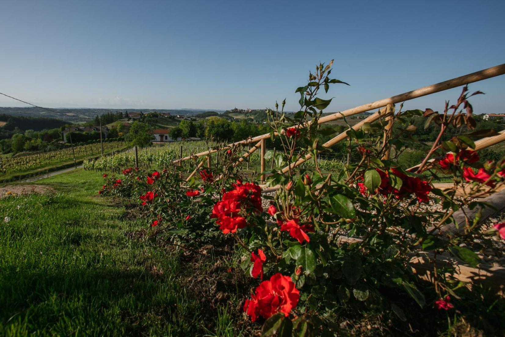 Hotel Agriturismo Bricco San Giovanni Asti Exterior foto