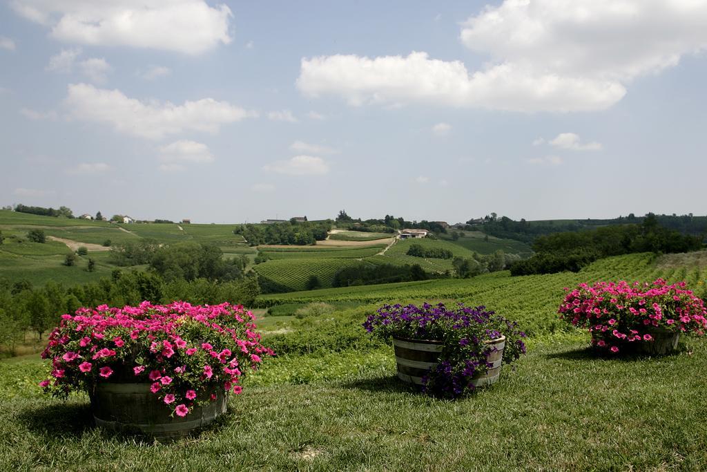 Hotel Agriturismo Bricco San Giovanni Asti Exterior foto